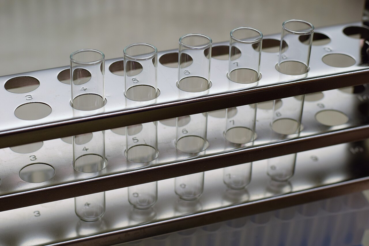 Empty glass test tubes standing in a numbered steel rack